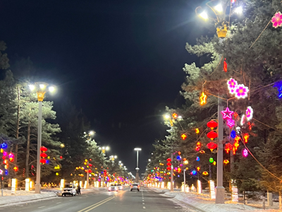 鶴崗街景亮化